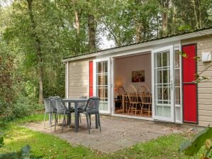 Vakantiepark Knus chalet met combimagnetron naast een natuurgebied - Borger - image1