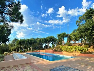 Outdoor area with pool, sunchairs and garden