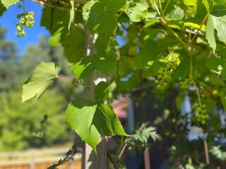 Ferienhaus Grohed Außenaufnahme 11