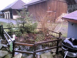Apartment Bernau im Schwarzwald  48