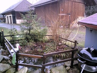 Apartment Bernau im Schwarzwald  50