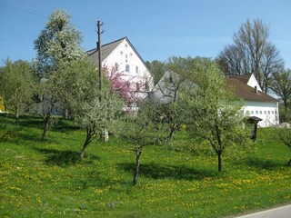 Appartement Rotthalmünster  21