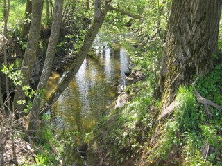 Apartment Rotthalmünster Environment 21
