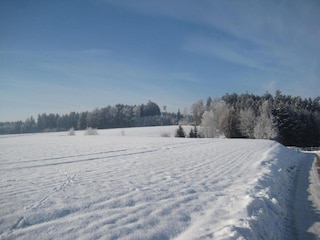 Apartment Rotthalmünster Environment 21