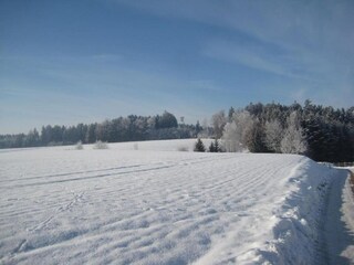 Appartement Rotthalmünster Omgeving 21