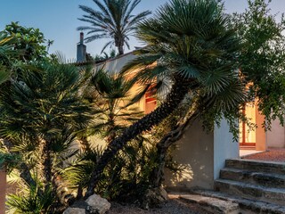 Cottage Pollensa Outdoor Recording 13