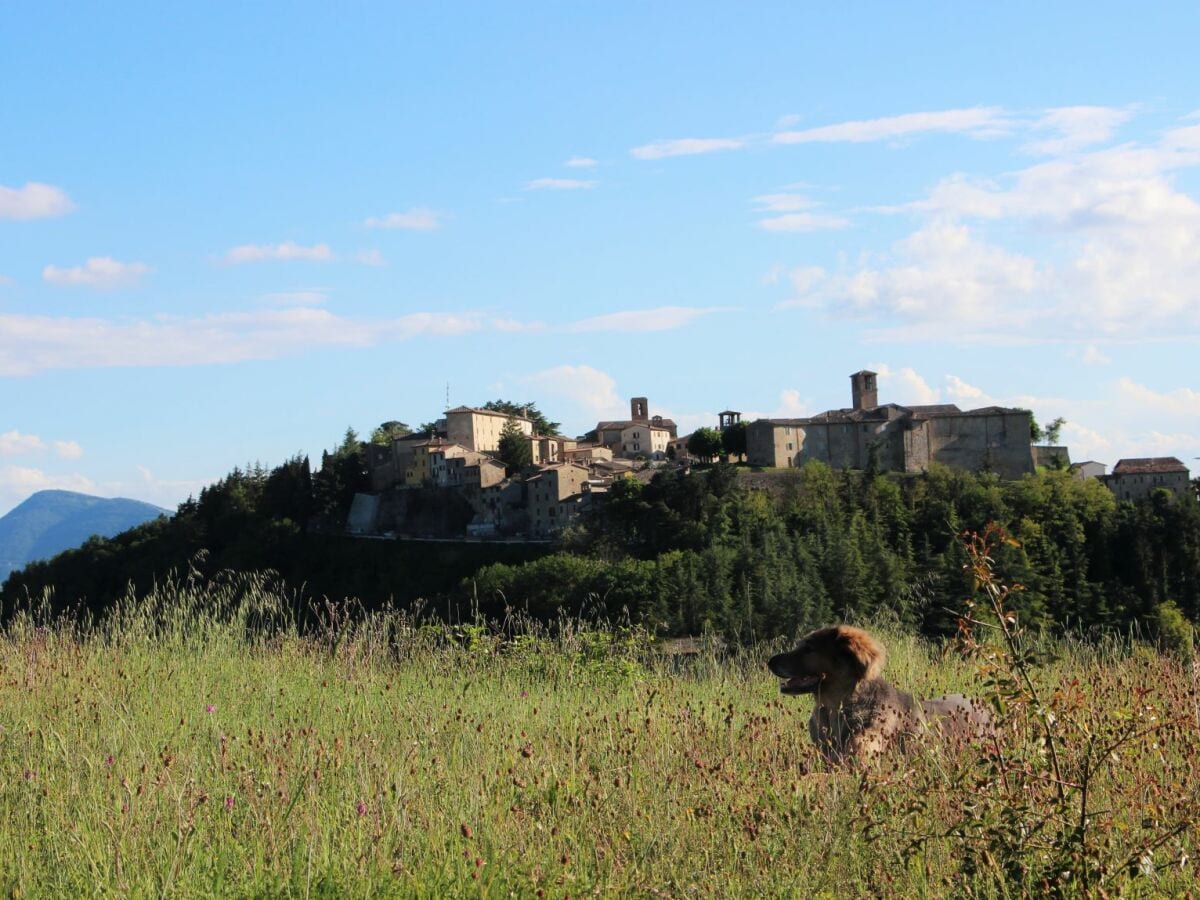 Montone - typisches italienisches Dorf, 5 min entfernt