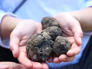 Vakantieappartement Montone Buitenaudio-opname 9