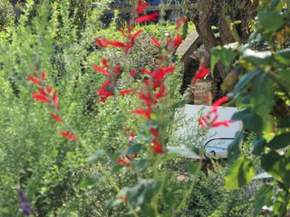 Appartamento per vacanze Montone Registrazione all'aperto 7