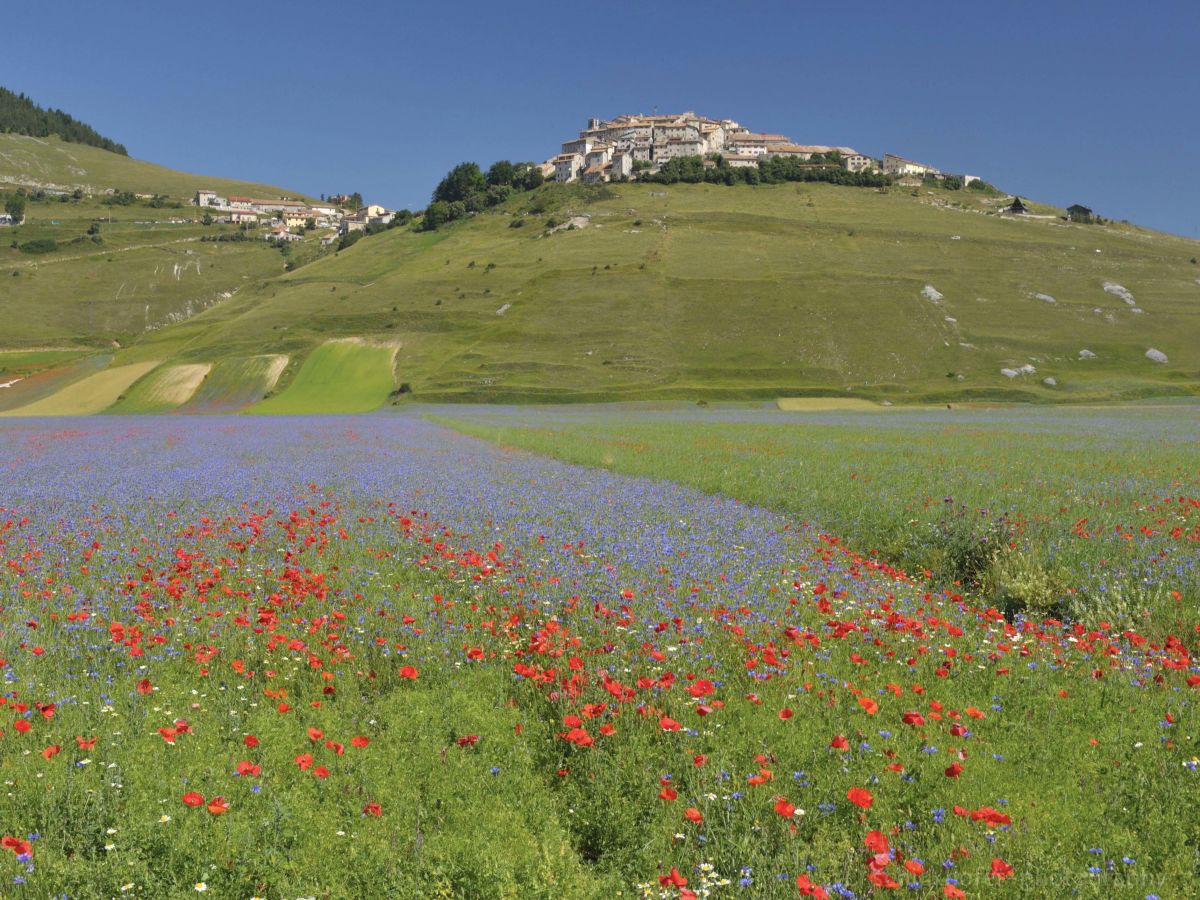 Castelluccio