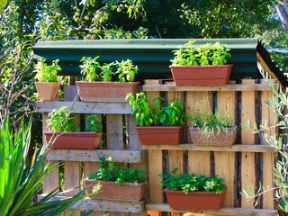 Appartamento per vacanze Montone Caratteristiche 17