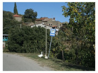 Appartamento per vacanze Montone Registrazione all'aperto 9