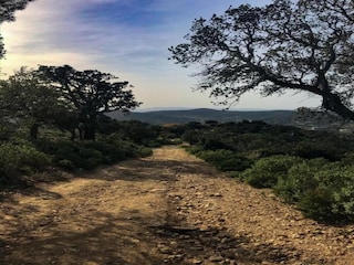 Maison de vacances Bormes-les-Mimosas Environnement 39
