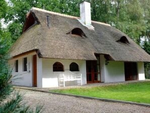 Casa per le vacanze Incantevole cottage con tetto di paglia a Uelzen in Bassa Sassonia, con ampio giardino - Uelsen - image1