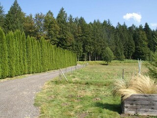 Appartamento Abreschviller Ambiente 32