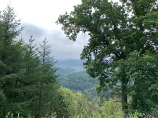 Apartamento Abreschviller Entorno 28