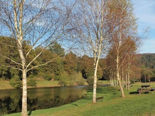 Apartment Abreschviller Umgebung 27