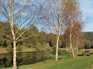 Appartamento Abreschviller Ambiente 26