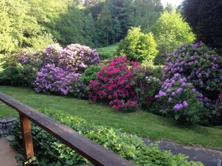 Apartamento Abreschviller Entorno 24