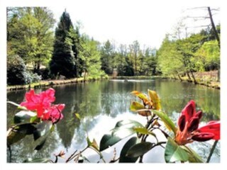 Appartamento Abreschviller Ambiente 29