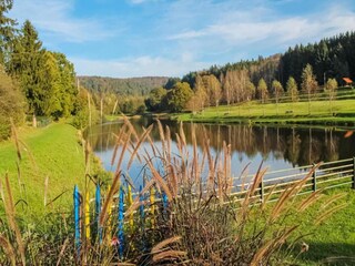 Apartamento Abreschviller Entorno 25