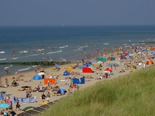Holiday house Domburg Environment 36