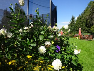 Appartamento per vacanze Millstatt Registrazione all'aperto 4