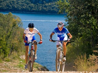 Casa per le vacanze Labin Ambiente 41