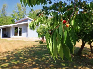 Vakantiehuis Dannemare  35