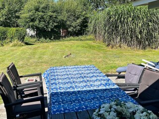 Maison de vacances Dannemare Enregistrement extérieur 8