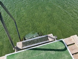 Ferienhaus Dannemare  31