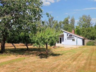 Ferienhaus Dannemare  47