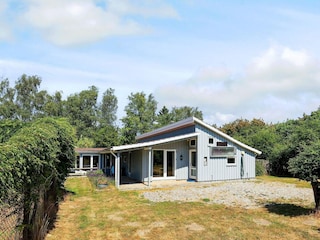 Ferienhaus Dannemare  50