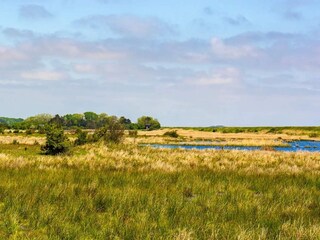 Maison de vacances Dannemare  66