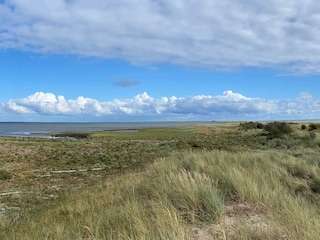 Ferienhaus Dannemare  53