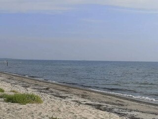 Holiday house Dannemare  14