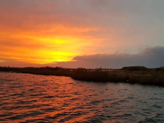 Ferienhaus Dannemare  60