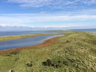 Ferienhaus Dannemare  31