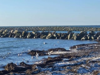 Holiday house Dannemare  15