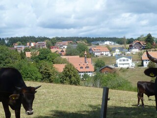 View of Rotzingen