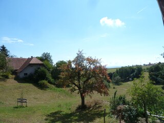 View from balcony