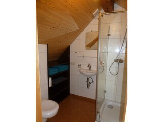 Appartamento per vacanze Görwihl Caratteristiche 33