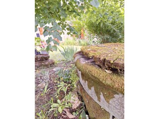 Der alte Brunnen im Garten