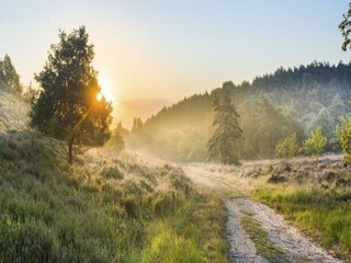 Vakantiepark Lanaken Omgeving 16