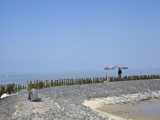 Ferienpark Nieuwvliet Umgebung 18