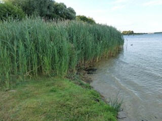 Appartement Malchow Environnement 43