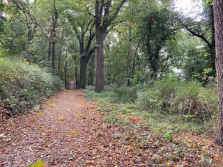 Appartement Malchow Environnement 30