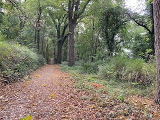 Apartment Malchow Umgebung 37