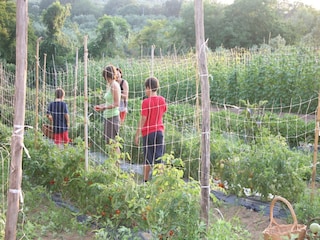 Holiday house San Pietro a Maida Environment 22