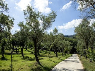 Holiday house San Pietro a Maida Environment 23